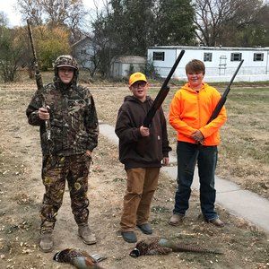 Meet your Posher, Blaise